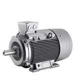 Купить 1LG6318-2MB.. (1LG63182MB..) SIMOTICS SD LOW-VOLTG.SQUIRREL-CAGE MOTOR IP55, 2POLE *SIZE 315L* THERM.CL.155(F) STANDARD VERSION IE2 CAST-IRON ENCL. IN EEA: CONSIDER EFFIC. GRADE ACC. TO CURR. VALID REGULATION!