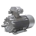 Купить 1MD5071-1BD..-4AA1 (1MD50711BD..4AA1, 1MD5O71-1BD..-4AA1, 1MD5O711BD..4AA1) SIMOTICS XP LOW VOLTAGE MOTOR LOHER TYPE: DNGW-071BS-02 CONVERTER FEED, NORMAL INSUL. STANDARD ROTOR II 2G EX D(E) IIC T4 GB IP55, IC411, SIZE 071, IE2 2 POLE 0,55 KW AT 50HZ DIFFERENT RATING AT INVERTER