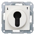 Купить 5TA7664 DELTA I-SYSTEM ТИТАНОВО-БЕЛЫЙ ВЫКЛЮЧАТЕЛЬ ЖАЛЮЗИС КЛЮЧЕМ 1-ПОЛЮС. ДЛЯ СИСТЕМ MASTER KEY 55Х55ММ МОНТИРУЕМЫЙ ПОД ШТУКАТУРКУ  С/БЕЗ ФИКСАЦИИ КРАЙНИХ ПОЗИЦИЙ В ОБОИХ НАПРАВЛЕНИЯХ И СИМВ. ВВЕРХ/ВНИЗ
