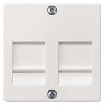 Купить 5TG2056 (5TG2O56) DELTA I-SYSTEM ТИТАНОВО-БЕЛЫЙ НАКЛАДКА СО ШТОРКАМИ ДЛЯ JACK/PLUG РАЗЪЕМОВ