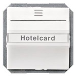 Купить 5TG4820 (5TG482O) DELTA I-SYSTEM ТИТАНОВО-БЕЛЫЙ ПЕРЕКЛЮЧАТЕЛЬ ДЛЯ ОТЕЛЬНЫХ КАРТ 1CO С ПОДСВЕТКОЙ