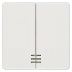 5TG6204 (5TG62O4) DELTA I-SYSTEM ТИТАНОВО-БЕЛЫЙ ВЫКЛЮЧАТЕЛЬ 2 КЛАВИШИ С ОКНОМ 55X55MM