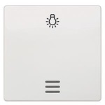 Купить 5TG6206 (5TG62O6) DELTA I-SYSTEM ТИТАНОВО-БЕЛЫЙ ВЫКЛЮЧАТЕЛЬ 1 КЛАВИША С ОКНОМ И СИМВОЛОМ СВЕТ 55X55MM