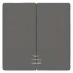 Купить 5TG6224 DELTA I-SYSTEM ЧЕРНЫЙ МЕТАЛЛИК ВЫКЛЮЧАТЕЛЬ 2 КЛАВИШИ С ОКНОМ 55X55MM