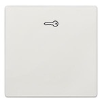 Купить 5TG7148 DELTA STYLE ТИТАНОВО-БЕЛЫЙ ВЫКЛЮЧАТЕЛЬ 1 КЛАВИША С СИМВОЛОМ КЛЮЧ 68Х68ММ